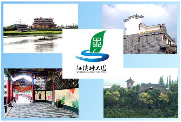 图形1.jpg
