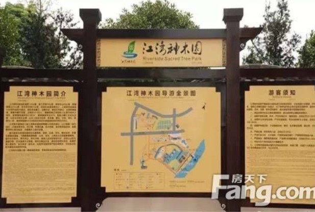 图形2.jpg