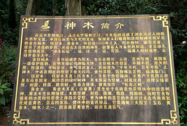 图形4.jpg